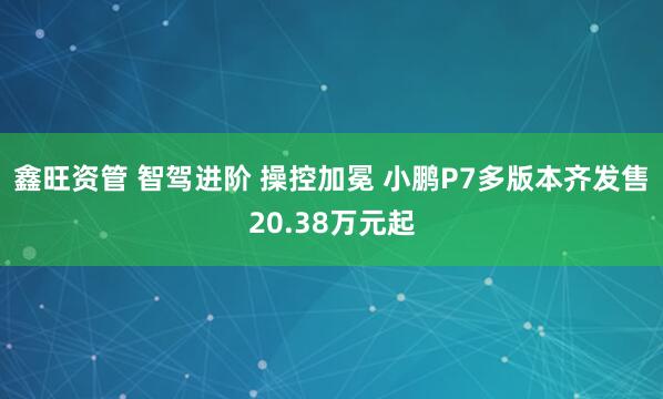鑫旺资管 智驾进阶 操控加冕 小鹏P7多版本齐发售20.38万元起