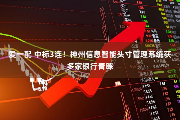 爱一配 中标3连！神州信息智能头寸管理系统获多家银行青睐
